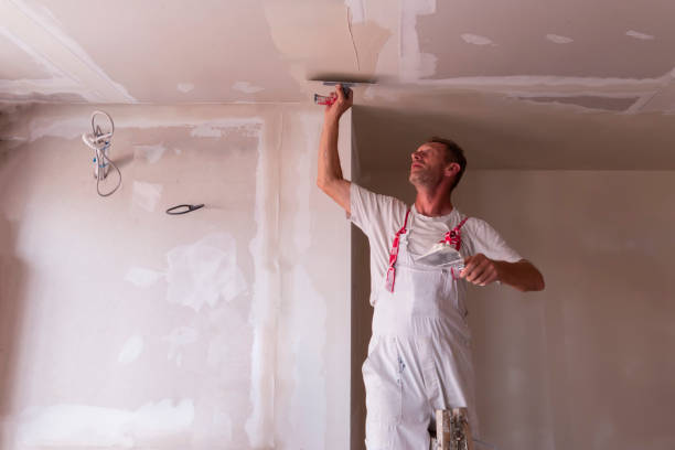 Best Wallpaper Removal and Painting  in USA